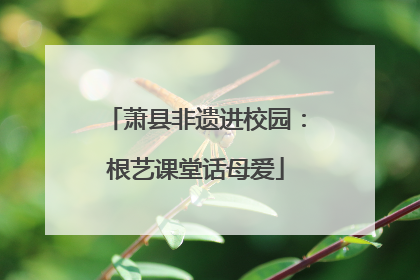 萧县非遗进校园：根艺课堂话母爱