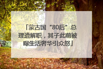蒙古国“80后”总理遭解职，其子此前被曝生活奢华引众怒