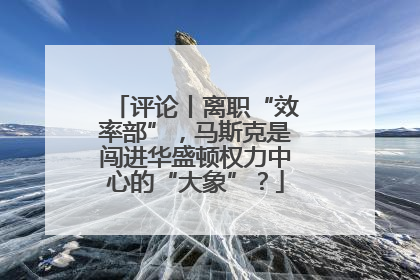 评论丨离职“效率部”，马斯克是闯进华盛顿权力中心的“大象”？