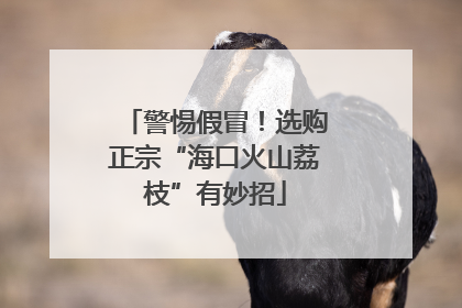 警惕假冒！选购正宗“海口火山荔枝”有妙招