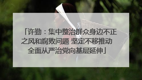 许勤：集中整治群众身边不正之风和腐败问题 坚定不移推动全面从严治党向基层延伸
