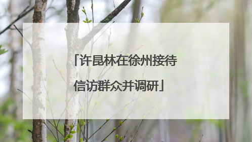 许昆林在徐州接待信访群众并调研