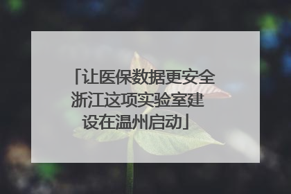 让医保数据更安全 浙江这项实验室建设在温州启动