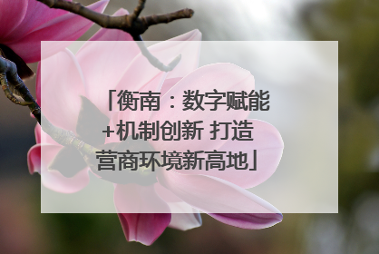 衡南：数字赋能+机制创新 打造营商环境新高地