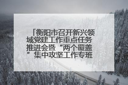 衡阳市召开新兴领域党建工作重点任务推进会暨“两个覆盖”集中攻坚工作专班 第一次会议