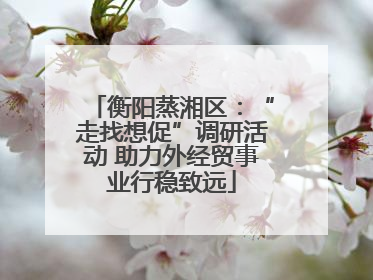 衡阳蒸湘区：“走找想促”调研活动 助力外经贸事业行稳致远
