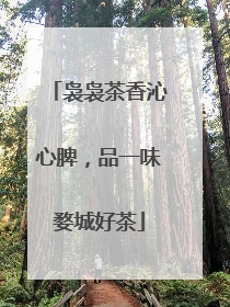 袅袅茶香沁心脾，品一味婺城好茶