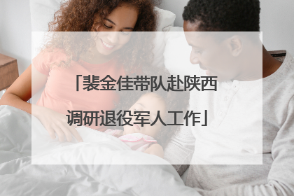 裴金佳带队赴陕西调研退役军人工作