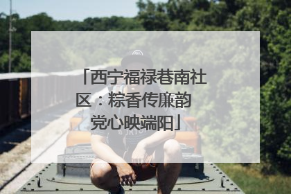 西宁福禄巷南社区：粽香传廉韵 党心映端阳