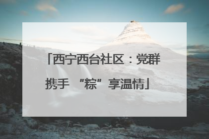 西宁西台社区：党群携手 “粽”享温情