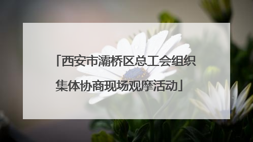 西安市灞桥区总工会组织集体协商现场观摩活动