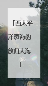 西太平洋斑海豹放归大海