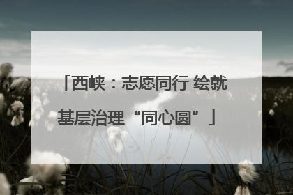西峡：志愿同行 绘就基层治理“同心圆”