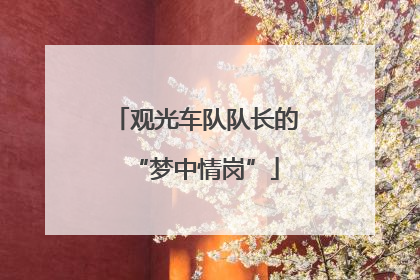 观光车队队长的“梦中情岗”
