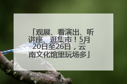 观展、看演出、听讲座、逛集市！5月20日至26日，云南文化馆里玩场多