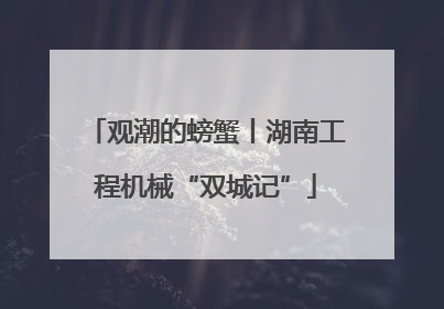 观潮的螃蟹丨湖南工程机械“双城记”
