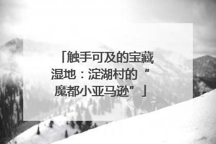 触手可及的宝藏湿地：淀湖村的“魔都小亚马逊”