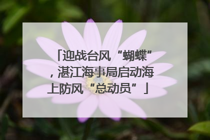 迎战台风“蝴蝶”，湛江海事局启动海上防风“总动员”