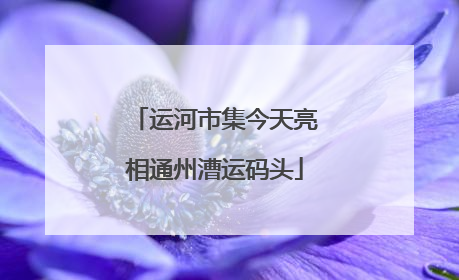 运河市集今天亮相通州漕运码头