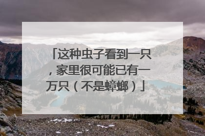 这种虫子看到一只，家里很可能已有一万只（不是蟑螂）