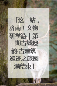 这一站，济南！文物研学游｜第一期古城遗韵·古建筑巡迹之旅圆满结束