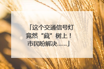 这个交通信号灯竟然“藏”树上！市民盼解决……