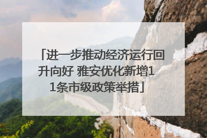进一步推动经济运行回升向好 雅安优化新增11条市级政策举措