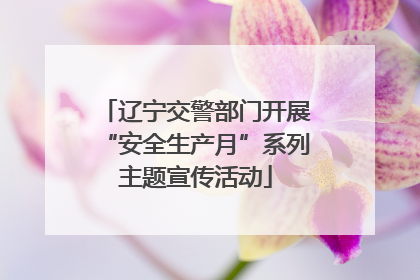 辽宁交警部门开展“安全生产月”系列主题宣传活动