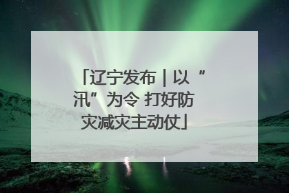 辽宁发布｜以“汛”为令 打好防灾减灾主动仗