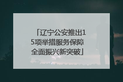 辽宁公安推出15项举措服务保障全面振兴新突破