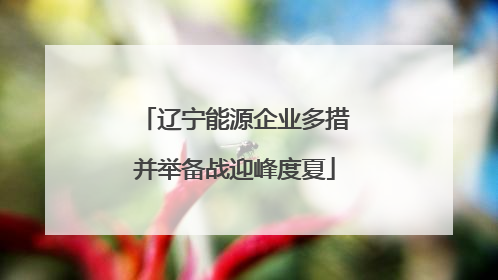 辽宁能源企业多措并举备战迎峰度夏