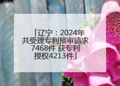 辽宁：2024年共受理专利预审请求7468件 获专利授权4213件