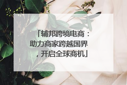 辅邦跨境电商：助力商家跨越国界，开启全球商机