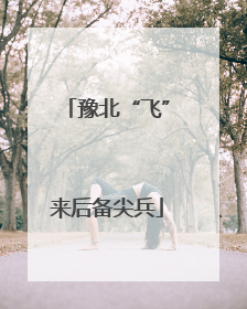 豫北“飞”来后备尖兵