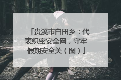 贵溪市白田乡：代表织密安全网，守牢假期安全关（图）