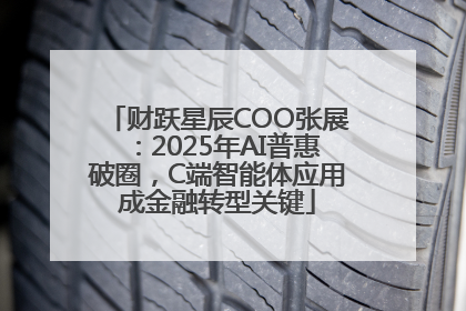 财跃星辰COO张展：2025年AI普惠破圈，C端智能体应用成金融转型关键