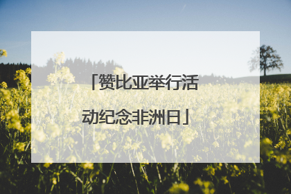赞比亚举行活动纪念非洲日