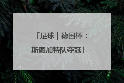 足球｜德国杯：斯图加特队夺冠