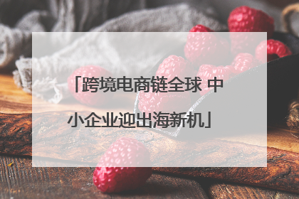跨境电商链全球 中小企业迎出海新机