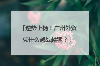 逆势上扬！广州外贸凭什么越战越猛？