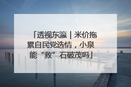 透视东瀛｜米价拖累自民党选情，小泉能“救”石破茂吗