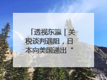 透视东瀛｜关税谈判遇阻，日本向美国递出“投名状”
