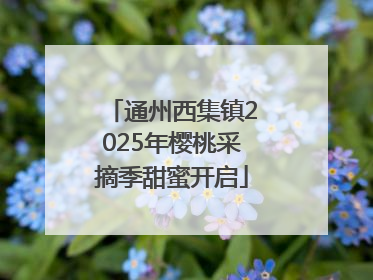 通州西集镇2025年樱桃采摘季甜蜜开启