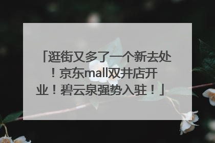 逛街又多了一个新去处！京东mall双井店开业！碧云泉强势入驻！