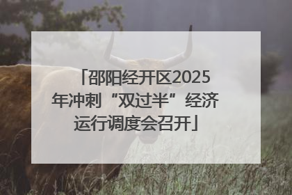 邵阳经开区2025年冲刺“双过半”经济运行调度会召开