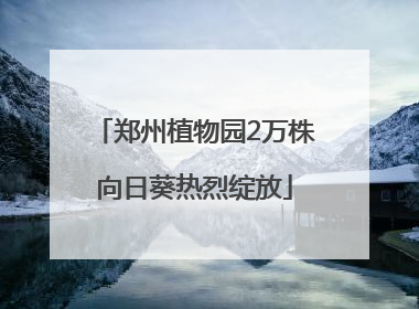 郑州植物园2万株向日葵热烈绽放