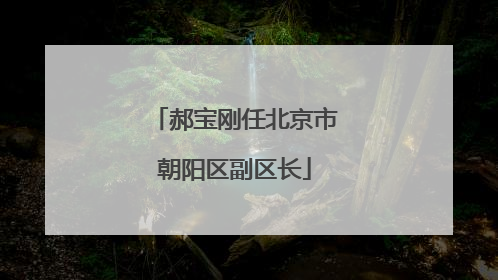 郝宝刚任北京市朝阳区副区长