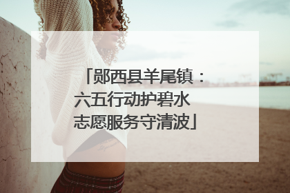 郧西县羊尾镇：六五行动护碧水 志愿服务守清波