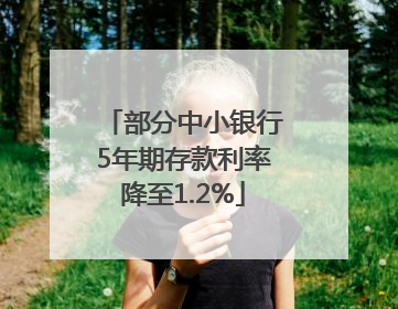 部分中小银行5年期存款利率降至1.2%