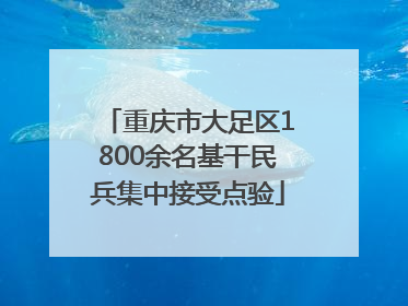 重庆市大足区1800余名基干民兵集中接受点验